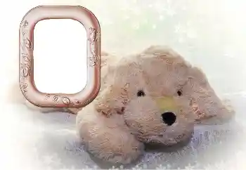 Фотоефект з категорії Мої іграшки і улюбленці № 169102