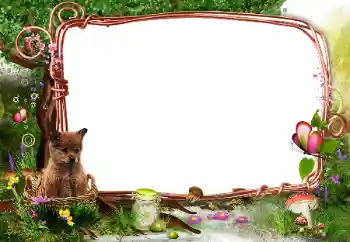 Фотоефект з категорії На природі № 142331 Фотоефект з категорії На природі № 142331