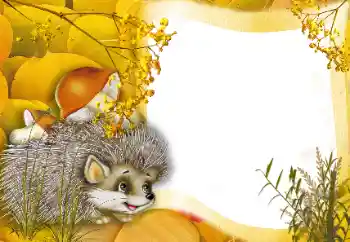 Фотоефект з категорії На природі № 166562 Фотоефект з категорії На природі № 166562