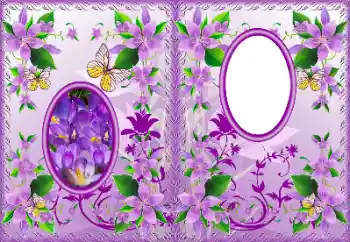 Фотоефект з категорії Обгортки ДВД № 183322