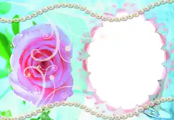 Фотоефект з категорії Запрошення № 9861. Надпис на рамці: Запрошення на весілля