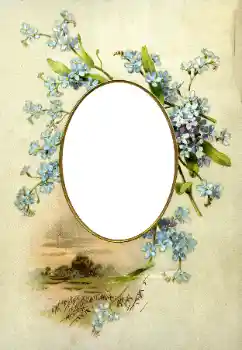 Фотоефект з категорії Різні № 115941 Фотоефект з категорії Різні № 115941