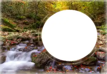 Фотоефект з категорії Різні № 126953 Фотоефект з категорії Різні № 126953