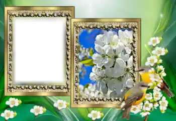 Фотоефект з категорії Різні № 130650 Фотоефект з категорії Різні № 130650