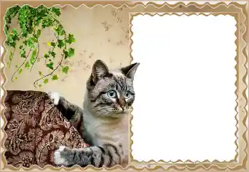 Фотоефект з категорії Різні № 150513 Фотоефект з категорії Різні № 150513
