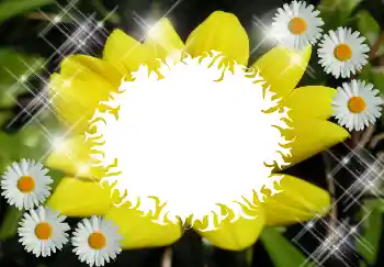 Фотоефект з категорії Різні № 1530 Фотоефект з категорії Різні № 1530