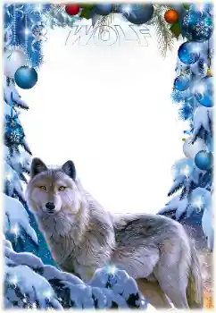 Фотоефект з категорії Різні № 163432. Надпис на рамці: Wolf Фотоефект з категорії Різні № 163432. Надпис на рамці: Wolf