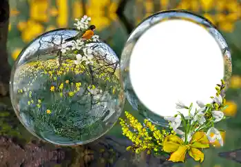 Фотоефект з категорії Різні № 163601