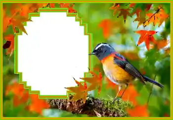 Фотоефект з категорії Різні № 173036 Фотоефект з категорії Різні № 173036