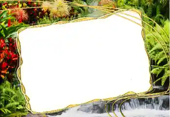 Фотоефект з категорії Різні № 20271 Фотоефект з категорії Різні № 20271