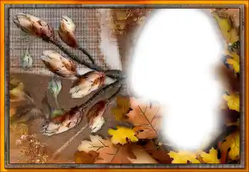 Фотоефект з категорії Різні № 205533