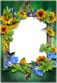 Фотоефект з категорії Різні № 205611
