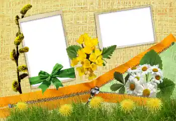 Фотоефект з категорії Різні № 24285