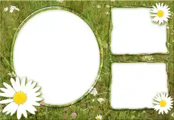 Фотоефект з категорії Різні № 34932