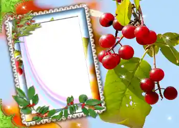 Фотоефект з категорії Різні № 587 Фотоефект з категорії Різні № 587