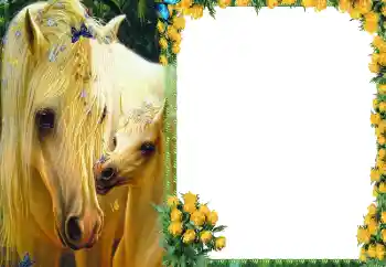 Фотоефект з категорії Різні № 87686 Фотоефект з категорії Різні № 87686
