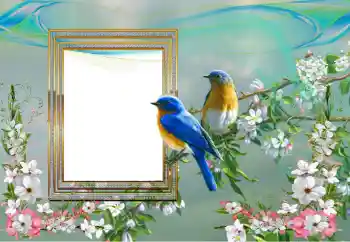 Фотоефект з категорії Різні № 99895 Фотоефект з категорії Різні № 99895