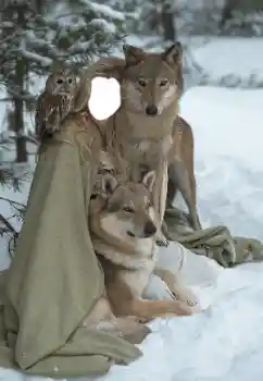 Фотоефект з категорії Для жінок № 129849