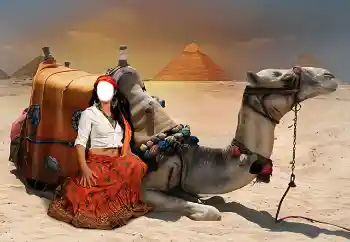 Фотоефект з категорії Для жінок № 38344