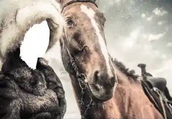 Фотоефект з категорії Для жінок № 38493