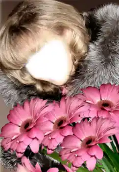 Фотоефект з категорії Для жінок № 38949