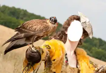 Фотоефект з категорії Для жінок № 61598