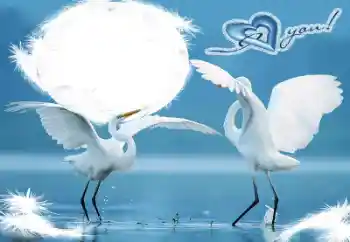 Фотоефект з категорії Рамки для закоханих № 60198. Надпис на рамці: I love you! Фотоефект з категорії Рамки для закоханих № 60198. Надпис на рамці: I love you!