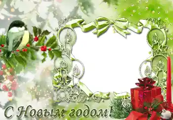 Фотоефект з категорії Відкритки на Новий рік № 3317. Надпис на рамці: З Новим Роком!