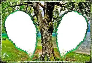 Фотоефект з категорії Літо № 123182