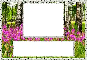 Фотоефект з категорії Літо № 131011