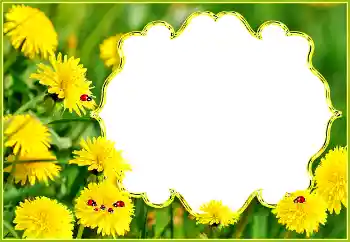 Фотоефект з категорії Літо № 132994 Фотоефект з категорії Літо № 132994