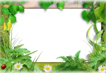 Фотоефект з категорії Літо № 138647 Фотоефект з категорії Літо № 138647