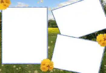 Фотоефект з категорії Літо № 13915