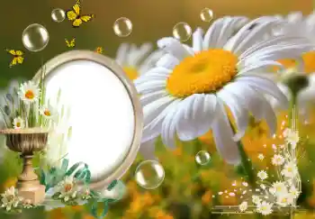Фотоефект з категорії Літо № 153157 Фотоефект з категорії Літо № 153157