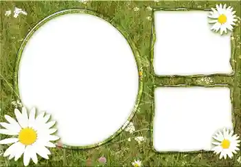 Фотоефект з категорії Літо № 166475