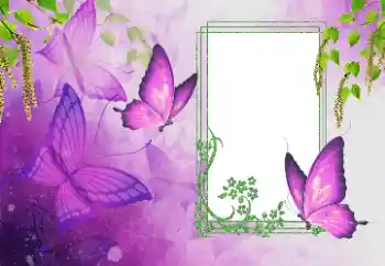 Фотоефект з категорії Літо № 179562