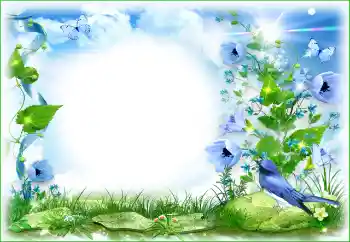 Фотоефект з категорії Літо № 198825