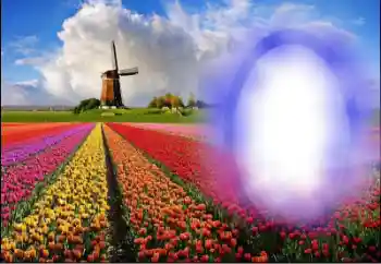 Фотоефект з категорії Літо № 36251 Фотоефект з категорії Літо № 36251