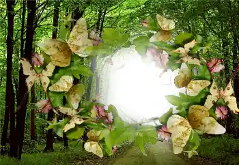 Фотоефект з категорії Літо № 5287