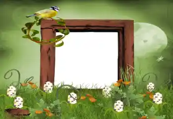 Фотоефект з категорії Літо № 9650