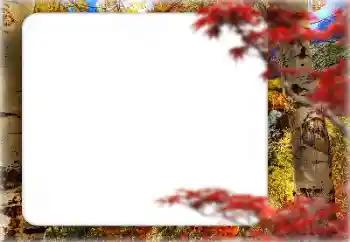 Фотоефект з категорії Осінь № 127331 Фотоефект з категорії Осінь № 127331