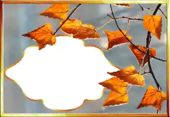 Фотоефект з категорії Осінь № 145079 Фотоефект з категорії Осінь № 145079