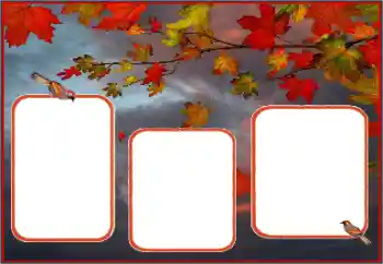 Фотоефект з категорії Осінь № 162013