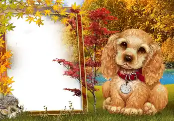 Фотоефект з категорії Осінь № 190594