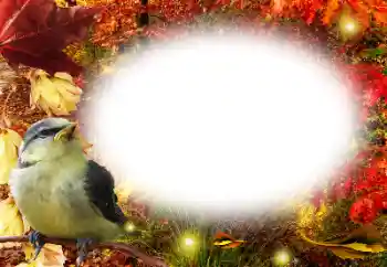 Фотоефект з категорії Осінь № 191761