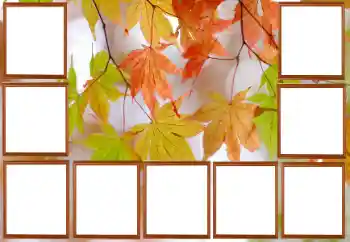 Фотоефект з категорії Осінь № 195267