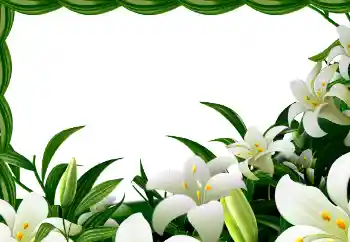 Фотоефект з категорії Весна № 113129