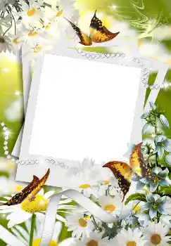 Фотоефект з категорії Весна № 4611