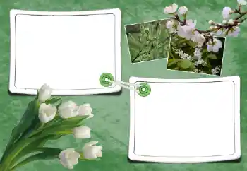 Фотоефект з категорії Весна № 93095