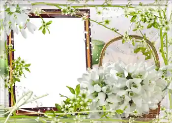 Фотоефект з категорії Весна № 980